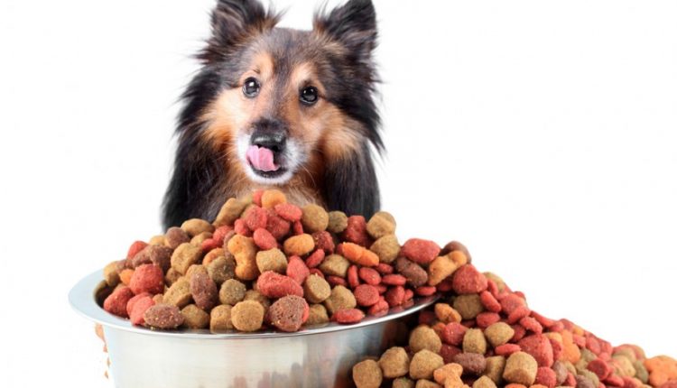 Seven Secrets To Choosing A Safe, Healthy Pet Food