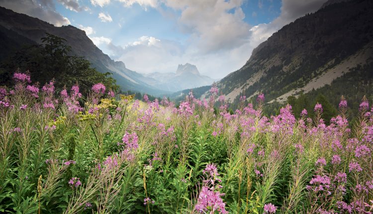 The ‘balance of nature’ is an enduring concept. But it’s wrong.