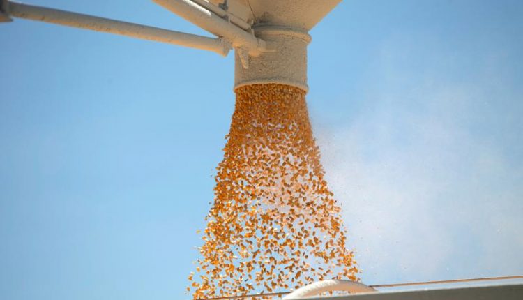 USDA defends estimate of China corn imports, despite hot sales pace
