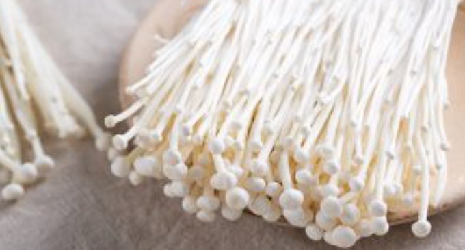 France also affected by Listeria in enoki mushrooms