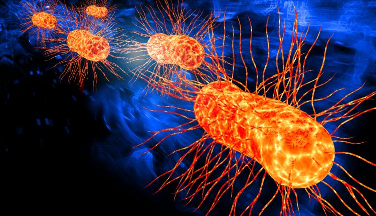 Child dies in Norway after E. coli infection