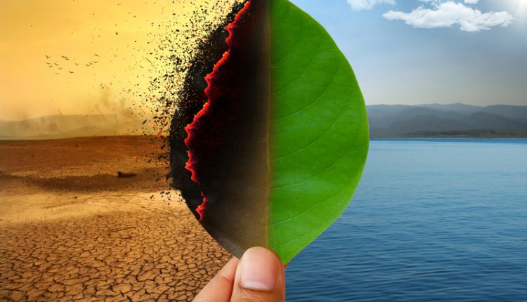 EFSA to host meeting on climate change and food safety