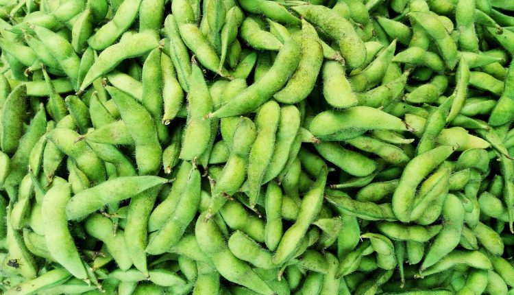 Trader Joe’s Edamame Recalled in 4 States for Possible Listeria Contamination