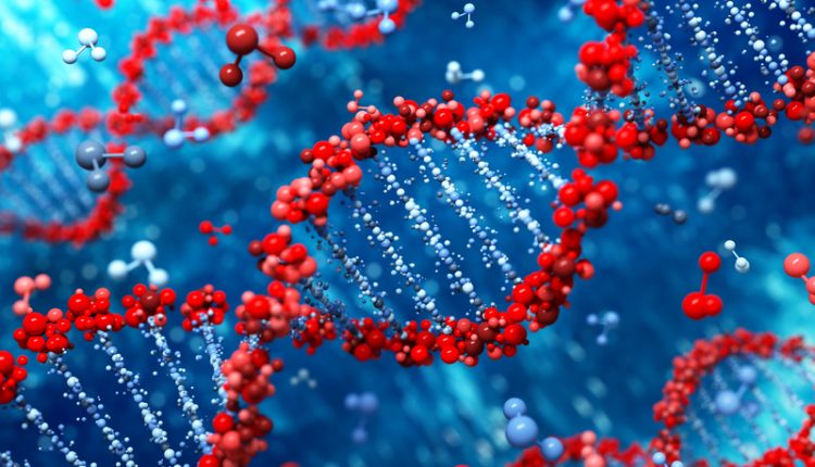 England considering gene editing for food