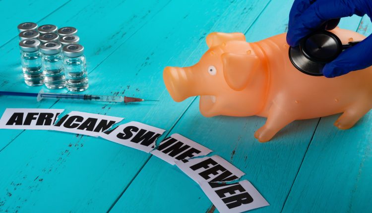 Pork trade threatened for sixth year by African Swine Fever (ASF)