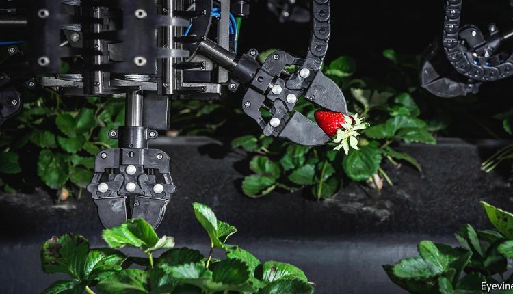 After years of dithering companies are embracing automation