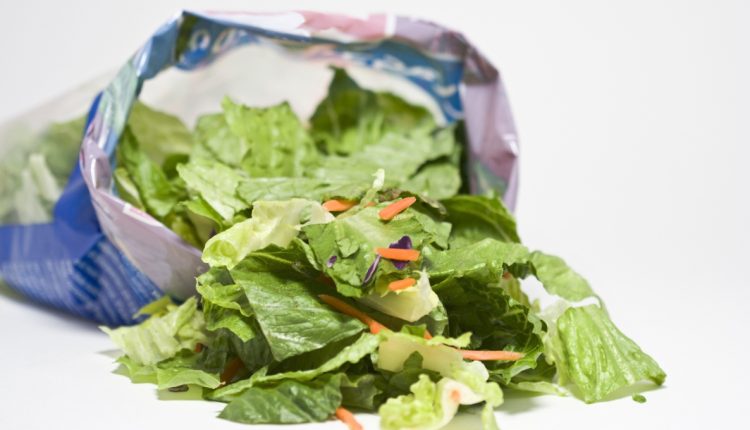Yersinia outbreak in Norway linked to salad