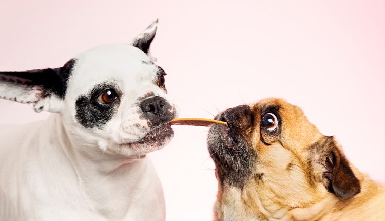 Want More Loyal Customers? Offer a Community, Not Rewards.