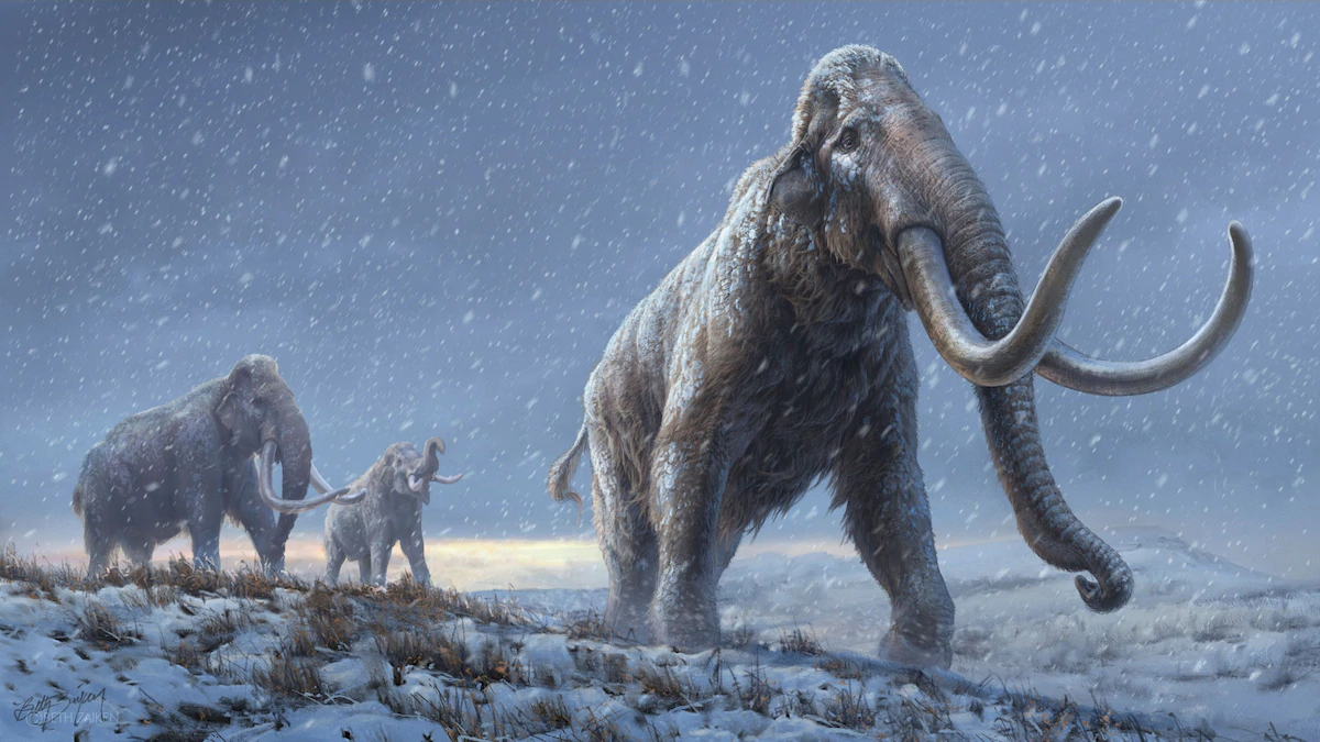 Million-year-old mammoth teeth yield world’s oldest DNA