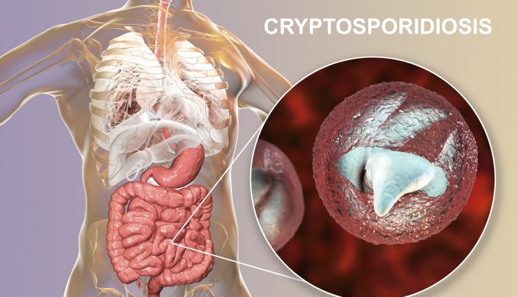 Researchers find gaps in EU parasite surveillance