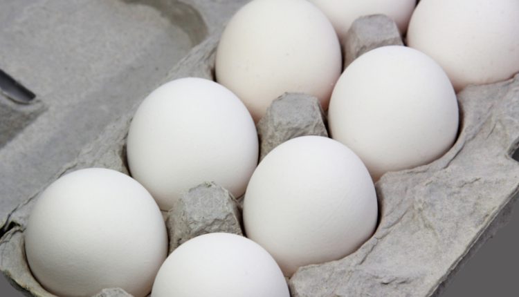 Authorities say new Salmonella outbreak likely because of eggs