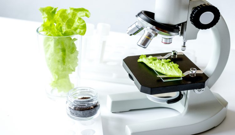 Publisher’s Platform: Is the FDA reviving the MDP without telling us?