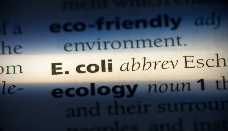 New 5-state E.coli outbreak kills one person: food source remains unknown