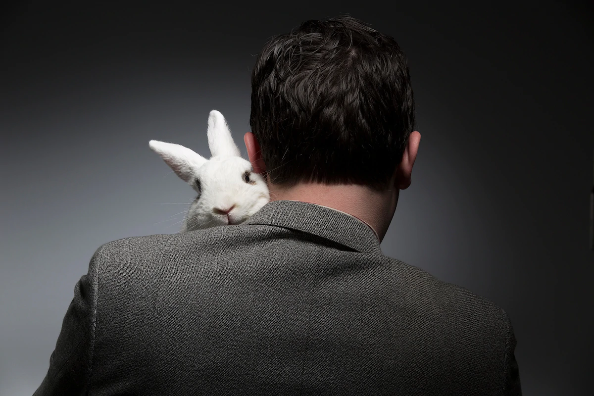 Here’s Why Easter Is Bad For Bunnies (2017)