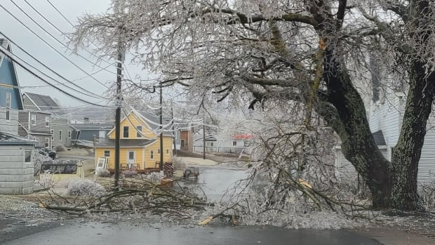 Cape Breton bears brunt of freezing rain storm