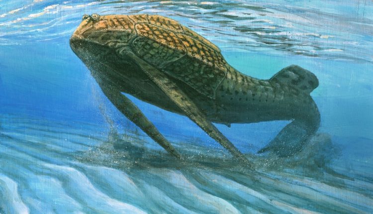 Bones Evolved To Act Like Batteries, 400-Million-Year-Old Fish Suggest