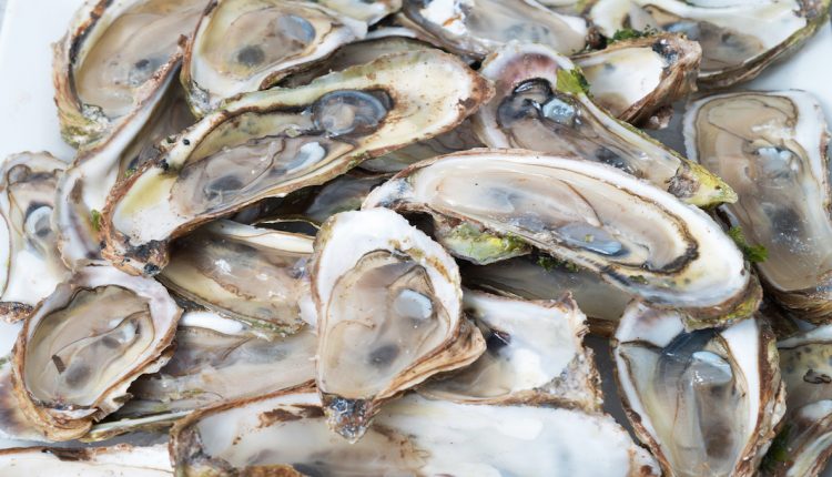 France investigates norovirus outbreaks linked to oysters