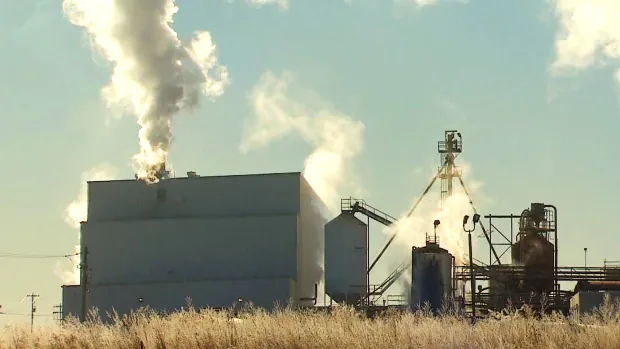 Vaccinations of Alberta’s 15,000 meat-packing plant workers to start this week
