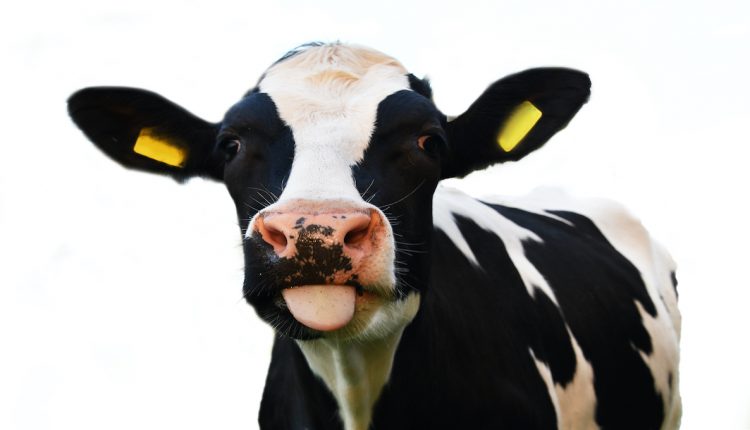 Federal court in Wyoming asked to block RFID technology