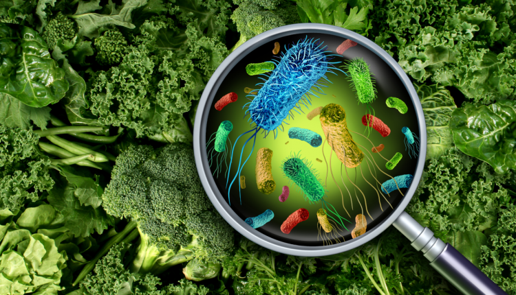 EU audit in Romania shows gaps remain despite progress with food safety