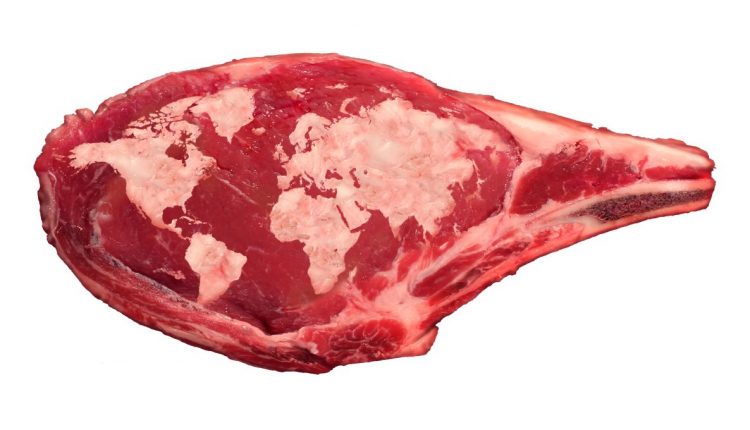 FSA reveals some imports missed required checks