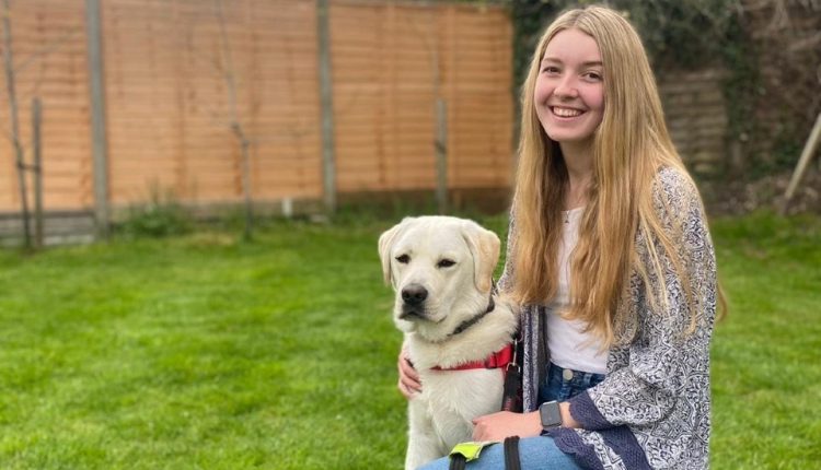 I’m training my dog to go on to save people’s lives