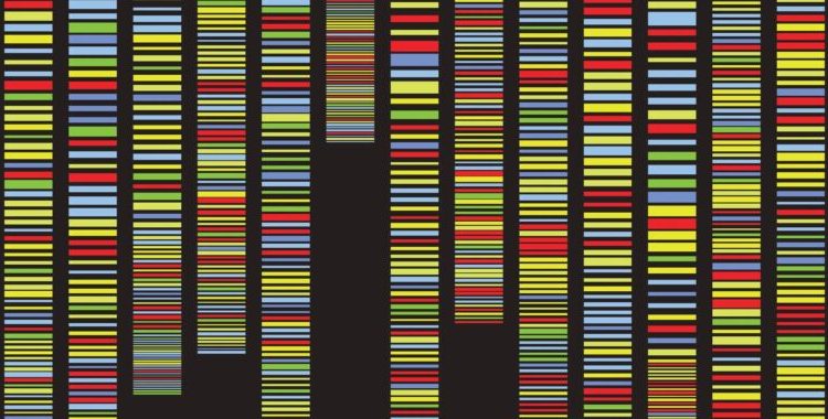 Variant hunters race to find new strains where variant testing lags