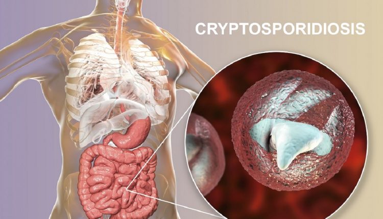 Finland tries to tackle Cryptosporidium increase