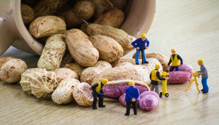 Last minute plan to combine hearings for former peanut executives quashed by Magistrate