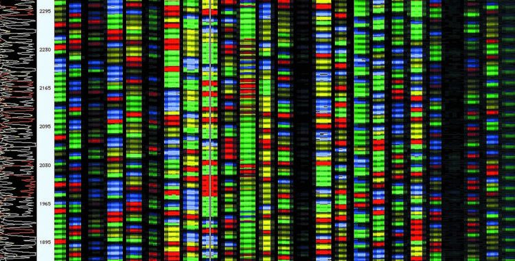 A DNA-based storage system with files and metadata