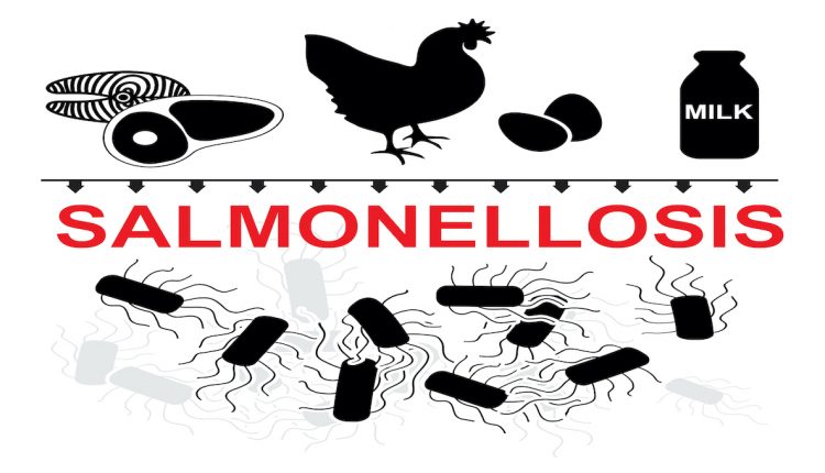 Norwegian surveillance finds low levels of Salmonella