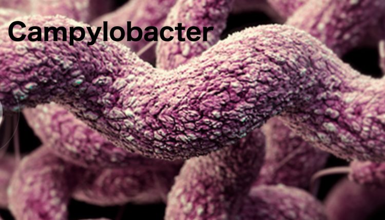 Food Standards Scotland vows to tackle foodborne illness