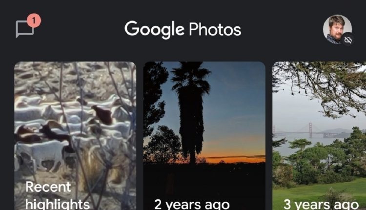 How to download all your pictures from Google Photos
