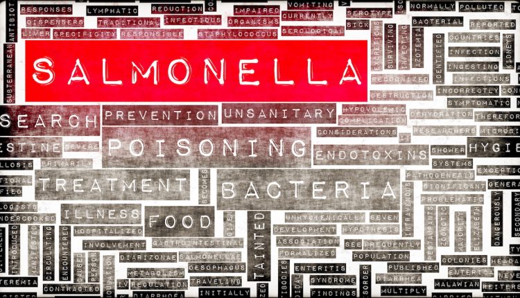 Salmonella sickens up to 50 in Denmark and Sweden; food source suspected
