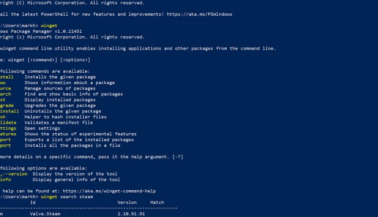 If you hate the Microsoft Store, Windows 10’s package manager can bypass it