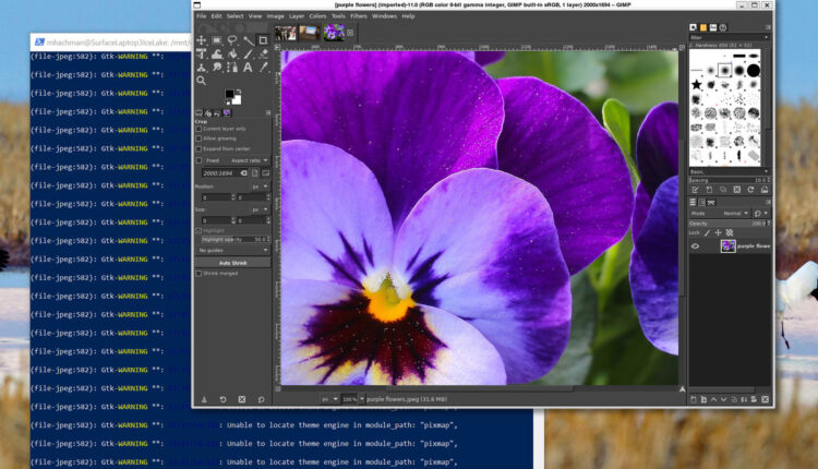 How to add Linux apps to Windows in just one easy step