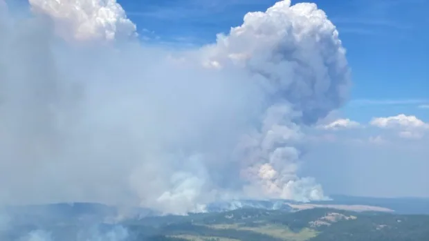 Firefighters battle 5,000-hectare blaze near Ashcroft, B.C., as 306 fires burn