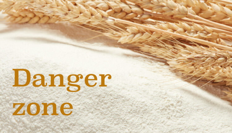 Study uncovers many strains of pathogenic E. coli in German flour