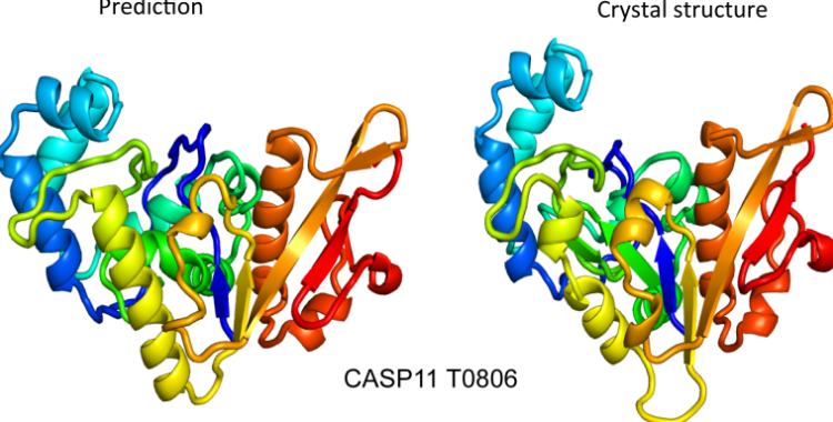 Google details its protein-folding software, academics offer an alternative