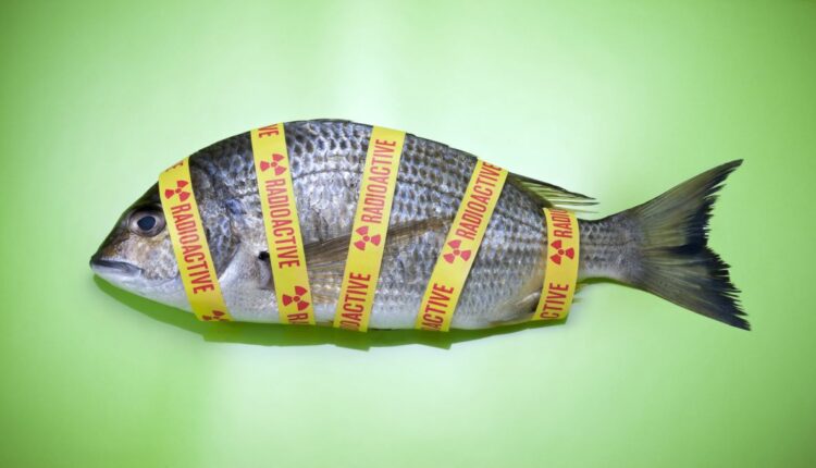 U.S and EU ease Fukushima import rules