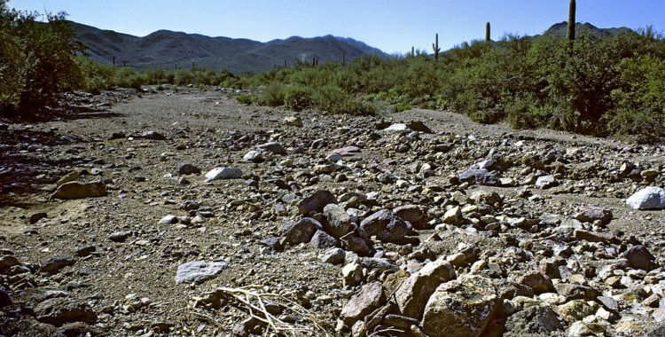 New ruling reverts Clean Water Act protections to 1980s vintage