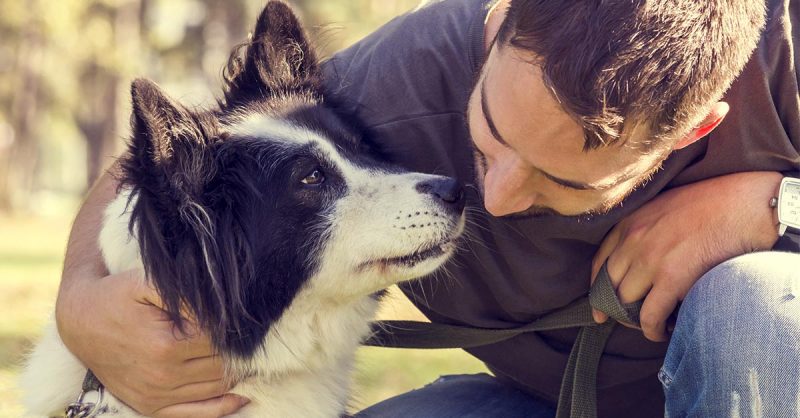 7 Ways To Prep Your Pet And Home To Ensure Longevity E1614791009248