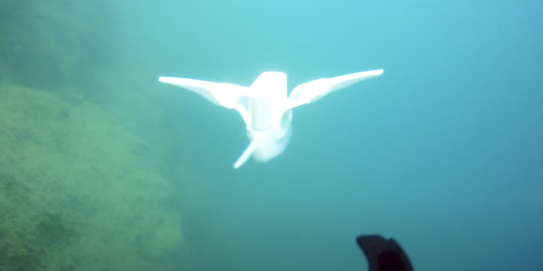 researchers-build-a-swimming-robot-that-works-in-the-mariana-trench.png Researchers build a swimming robot that works in the Mariana Trench