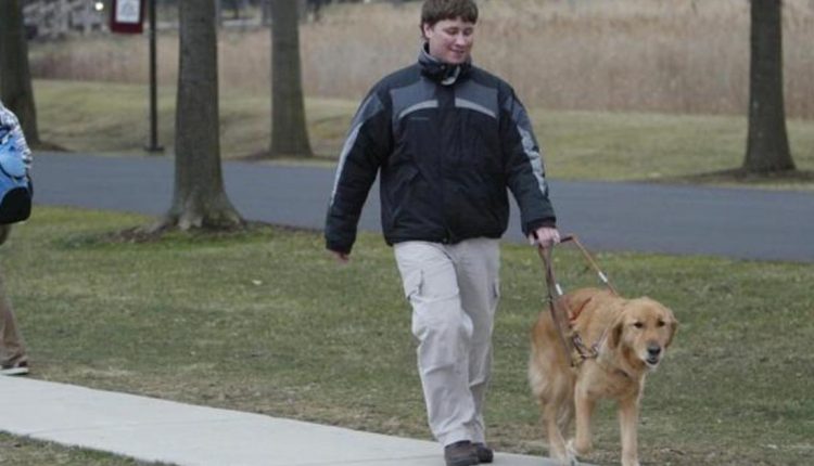 Almanac: Seeing eye dogs