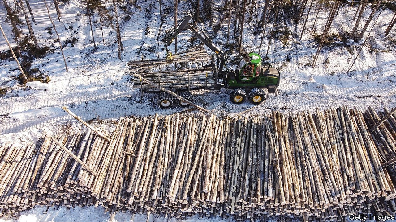 the-wood-products-industry-is-undergoing-root-and-branch-change.jpg The wood-products industry is undergoing root-and-branch change