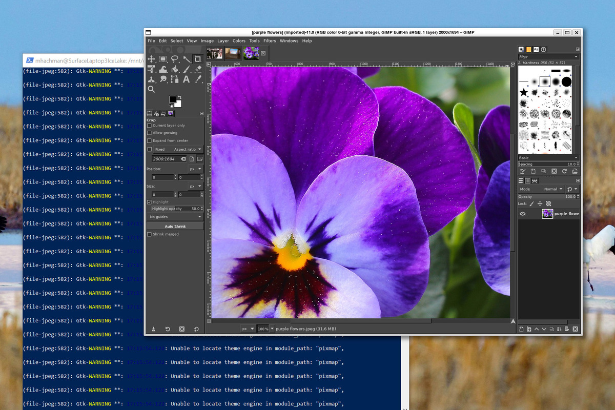 how-to-add-linux-apps-to-windows-in-just-one-easy-step.jpg How to add Linux apps to Windows in just one easy step