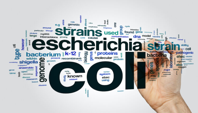 Two E. coli infections linked to English farm