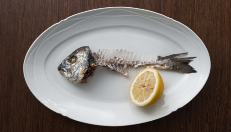 FDA asks public to report seafood-related toxin illnesses, submit and meal remnants