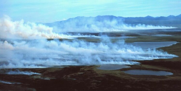 A zombie-fire outbreak may be growing in the north