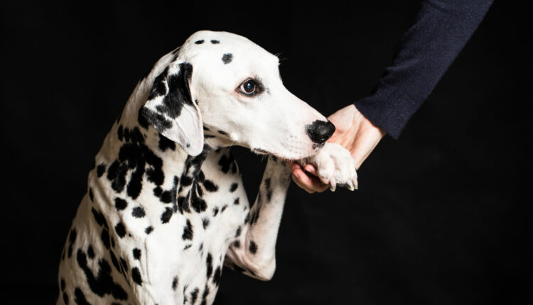 Managers: Compassion and Accountability Aren’t Mutually Exclusive